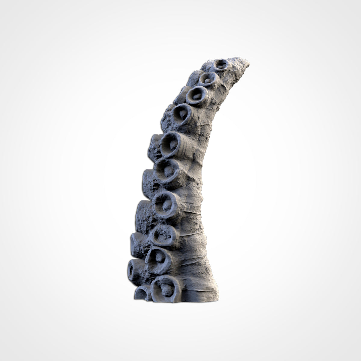 Kraken