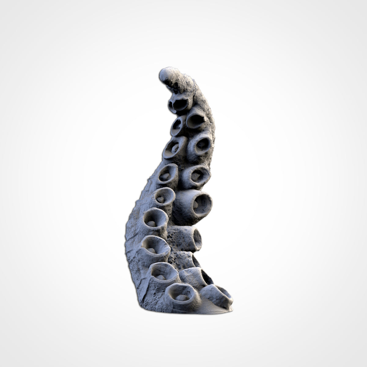 Kraken