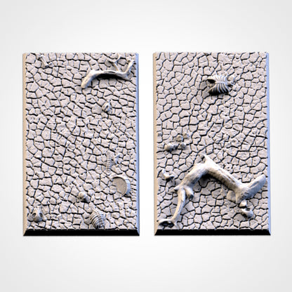 Desert