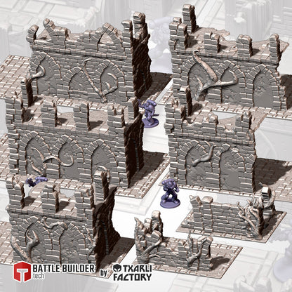 Abandoned Ruins: Competitive Layout