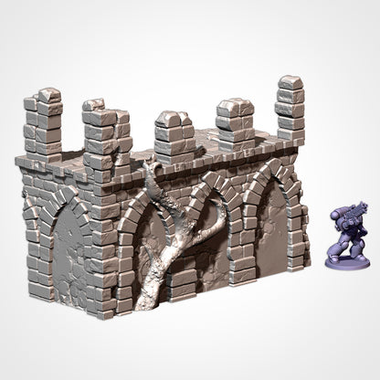 Abandoned Ruins: Competitive Layout