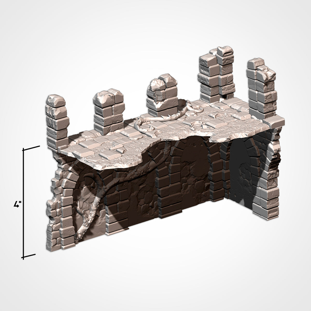 Abandoned Ruins: Competitive Layout