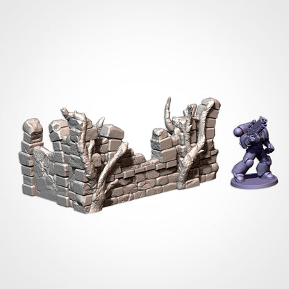 Abandoned Ruins: Competitive Layout