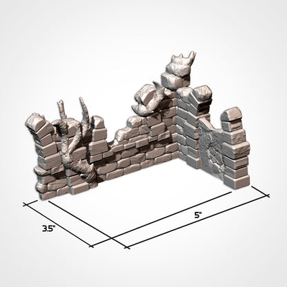 Abandoned Ruins: Competitive Layout