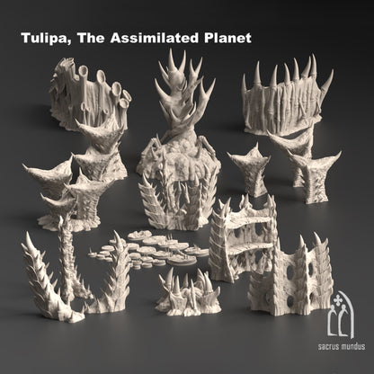 Tulipa, the Assimilated Planet